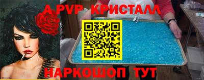 гашик Малгобек