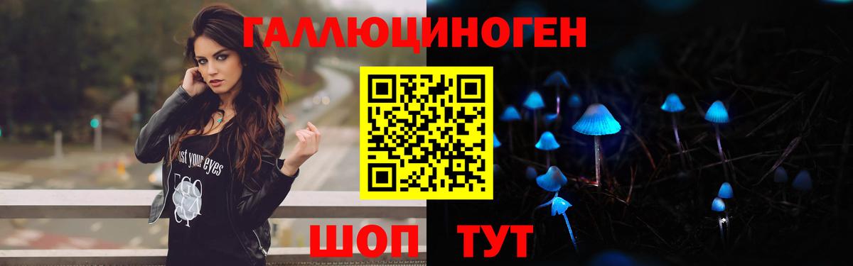 Псилоцибиновые грибы ЛСД Чернушка